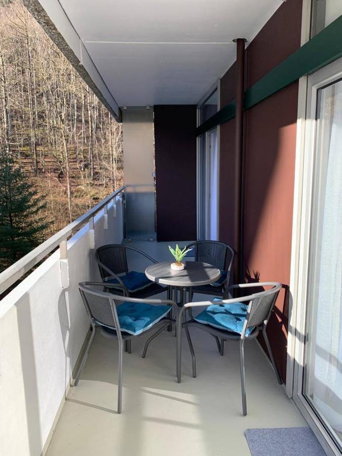 Mariposa 3 Incl Pool & Sauna Bad Harzburg Eksteriør billede