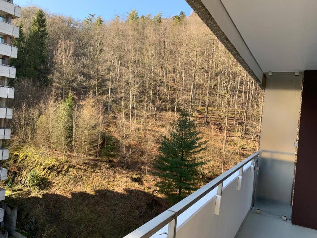Mariposa 3 Incl Pool & Sauna Bad Harzburg Eksteriør billede